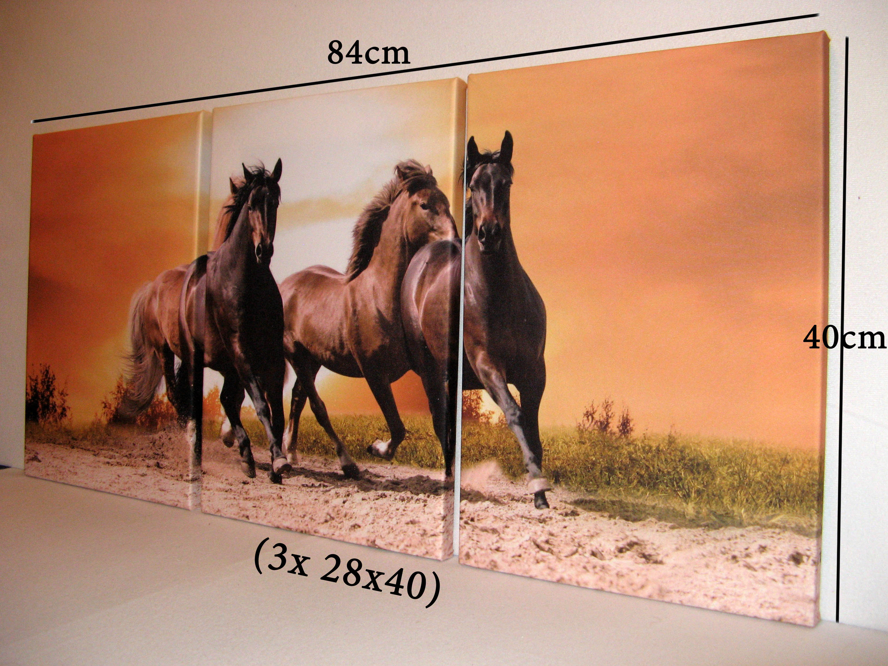 Canvas galerijski nacin 5 triptih